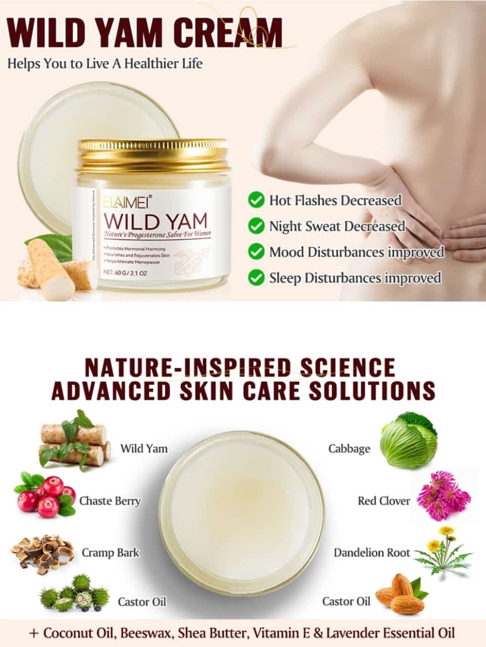 wy6 WILD YAM - Image 7